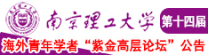 爽逼操湿摸南京理工大学第十四届海外青年学者紫金论坛诚邀海内外英才！